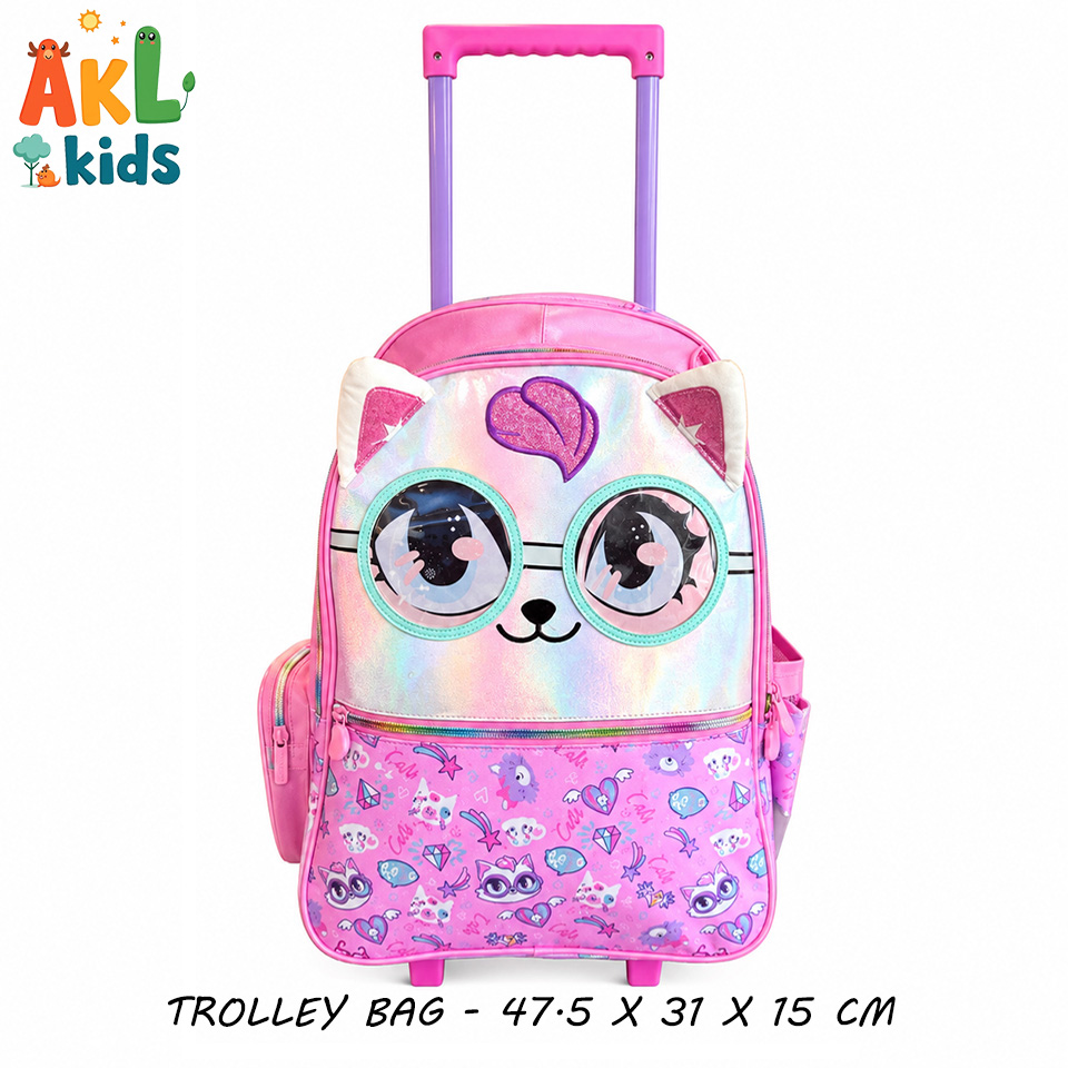Trolley Bag