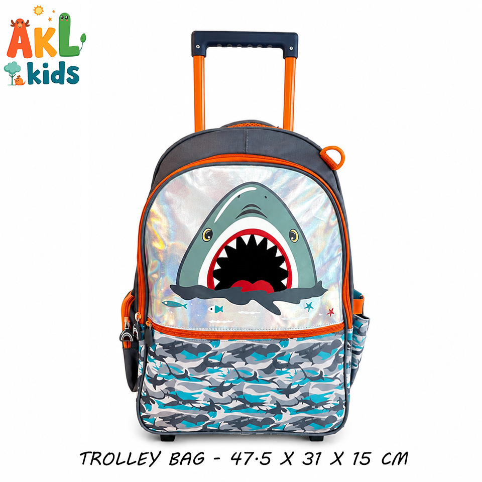 Trolley Bag